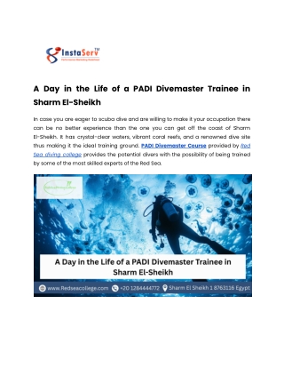 A Day in the Life of a PADI Divemaster Trainee in Sharm El-Sheikh