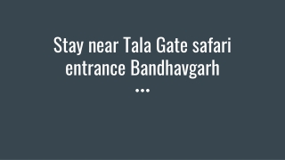 Stay near Tala Gate safari entrance Bandhavgarh