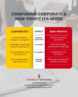 Comparing Corporate and Non-Profit LFA Needs
