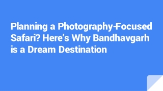Planning a Photography-Focused Safari_ Here’s Why Bandhavgarh is a Dream Destination
