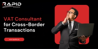 VAT Consultant for Cross-Border Transactions