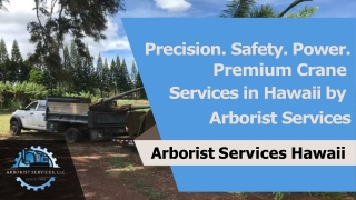 Precision. Safety. Power. Premium Crane Services in Hawaii by Arborist Services