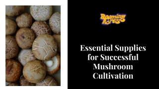Essential Supplies for Successful Mushroom Cultivation