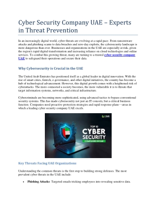 Cyber Security Company UAE Experts in Threat Prevention