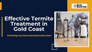 Effective Termite Treatment in Gold Coast: Protecting Your Home from Destructive