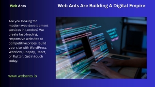 Web Design And Web Development Agency London