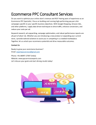 Ecommerce PPC Consultant Services