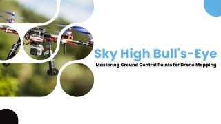 Sky High Bull's-Eye (june)