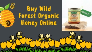 Buy Wild Forest Organic Honey Online