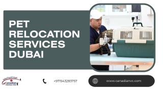 pet relocation services dubai
