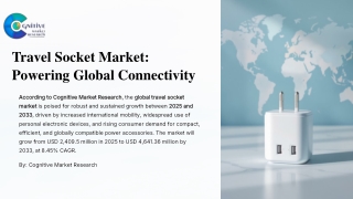 Travel Socket Market Size, Share, and Forecast (2025–2033)
