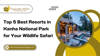 Top 5 Best Resorts in Kanha National Park for Your Wildlife Safari