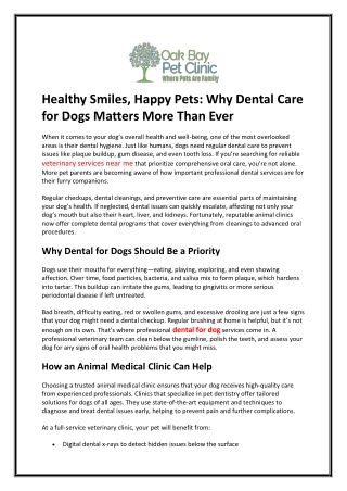 Healthy Smiles, Happy Pets Why Dental Care for Dogs Matters More Than Ever