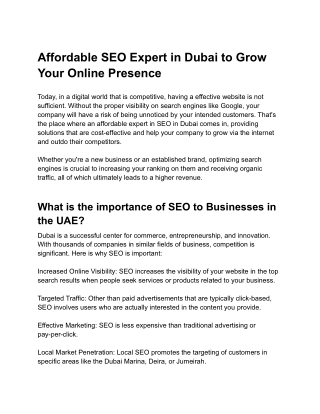 SEO EXPERT IN DUBAI (1)