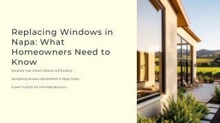 Replacing Windows in Napa What Homeowners Need to Know