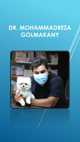 Mohammadreza Golmakany