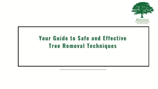 Your Guide to Safe and Effective Tree Removal Techniques