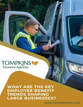 What Are the Key Employee Benefit Trends Shaping Large Businesses_