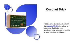 Coconut Brick
