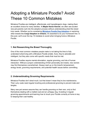 Adopting a Miniature Poodle_ Avoid These 10 Common Mistakes