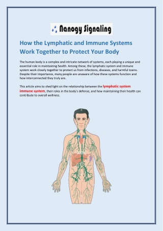 How the Lymphatic and Immune Systems Work Together to Protect Your Body