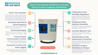 Ensure Product Longevity & Reliability with Ozone Test Chamber