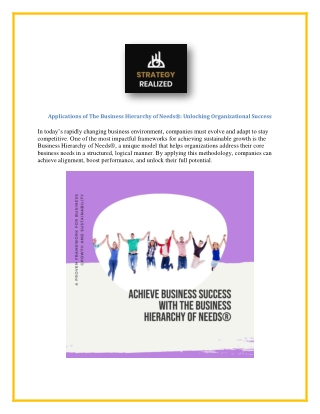 Applications of The Business Hierarchy of Needs®