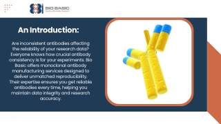 Antibody Manufacturing Services| Bio Basic| Monoclonal Antibody Manufacturing