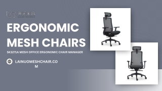 ergonomic mesh chairs