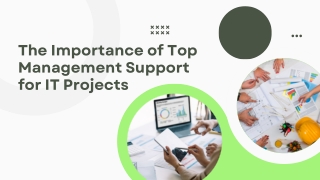 The Importance of Top Management Support for IT Projects