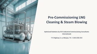 Pre-Commissioning LNG Cleaning & Steam Blowing