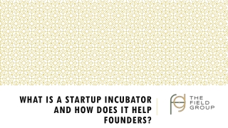 What is a Startup Incubator and how does it help Founders?