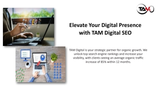 TAM-Digital-SEO