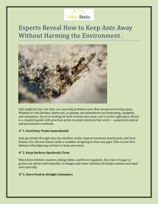Experts Reveal How to Keep Ants Away Without Harming the Environment .