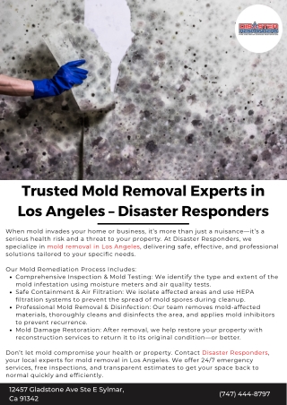 Trusted Mold Removal Experts in Los Angeles – Disaster Responders