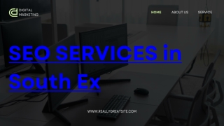 SEO SERVICES in South Ex