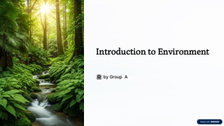 Introduction-to-Environment