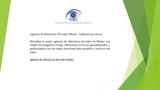 Agencia de Detectives Privados Miami | Valdesinvgr.com/es