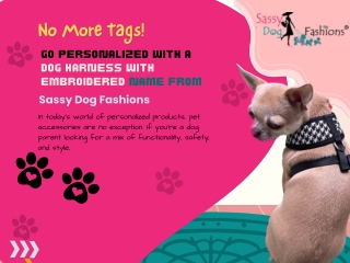 No More Tags! Go Personalized with a Dog Harness with Embroidered Name from Sassy Dog Fashions-1