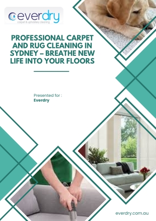 Professional Carpet and Rug Cleaning in Sydney – Breathe New Life into Your Floors