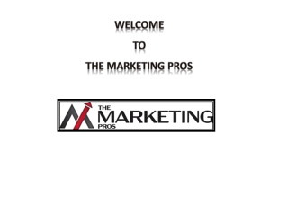 SEO Agency in USA & India | Best SEO Services | The Marketing Pros