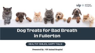 Dog Treats for Bad Breath Fullerton – Vet-Recommended at VIP Animal Hospital