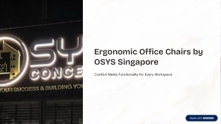 OSYS Office Chairs: Comfort, Style & Ergonomic Support