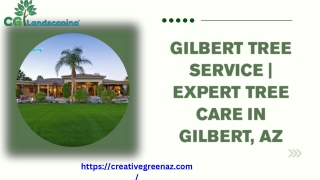 Gilbert Tree Service  Expert Tree Care in Gilbert, AZ
