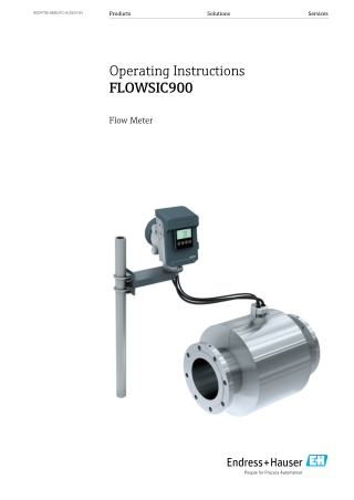 Endress Hauser (E H) FLOWSIC900 ultrasonic flowmeter | Instronline