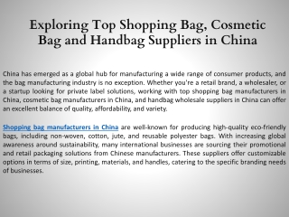 Exploring Top Shopping Bag, Cosmetic Bag and Handbag Suppliers in China