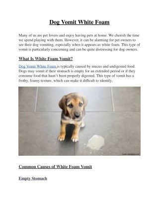 Dog Vomit White Foam