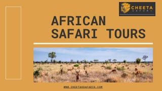 African Safari Tours