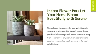 Indoor Flower Pots That Make Every Room Feel Fresh