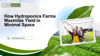 How Hydroponics Farms Maximize Yield in Minimal Space